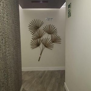 Apartamento Deluxe